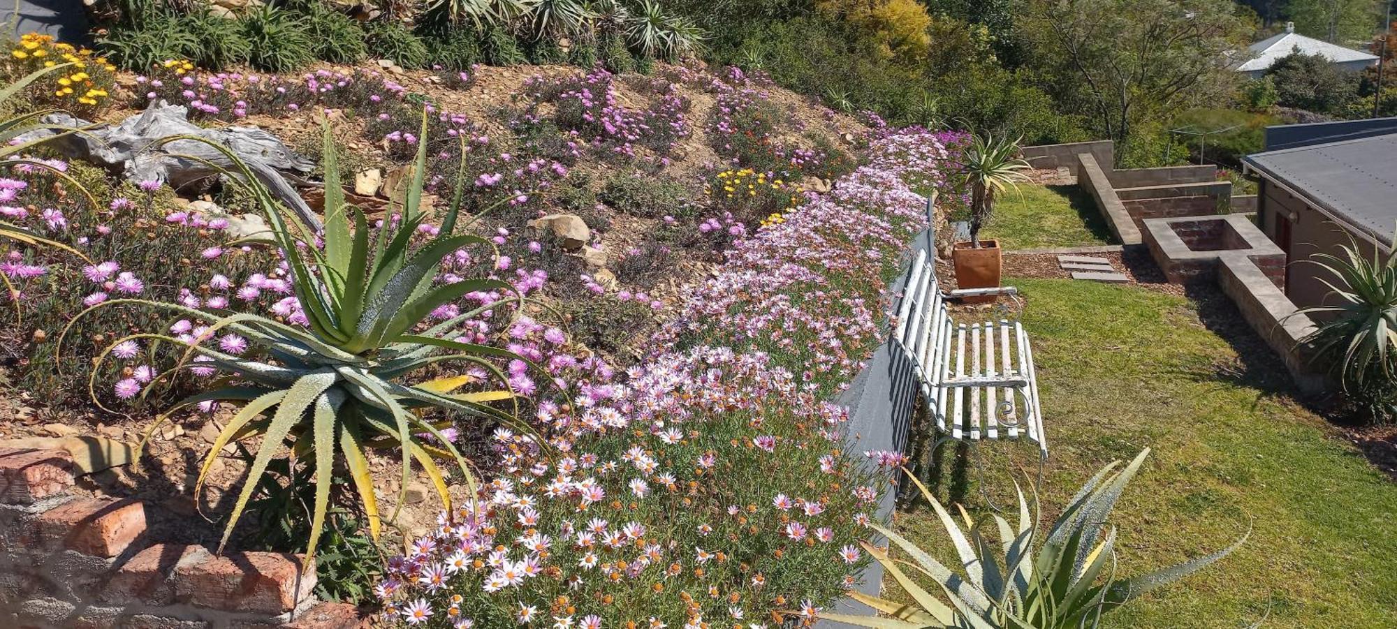 20 On Somerset Swellendam Exteriér fotografie